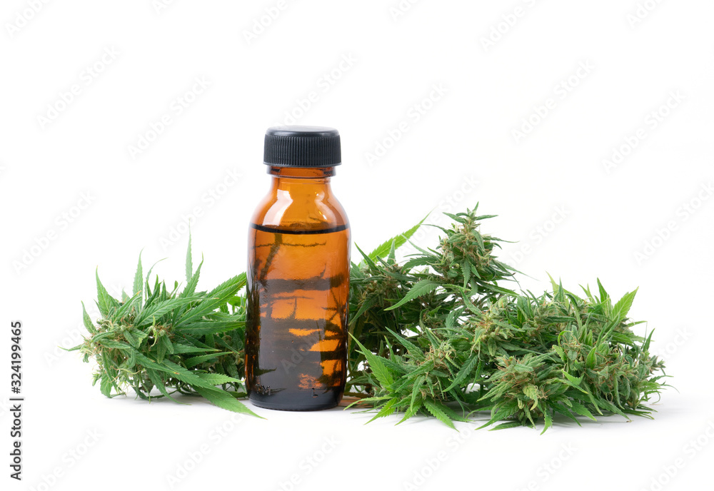 cannabis with cannabidiol extract isolated on white background cannabis with cannabidiol extract isolated on white background
