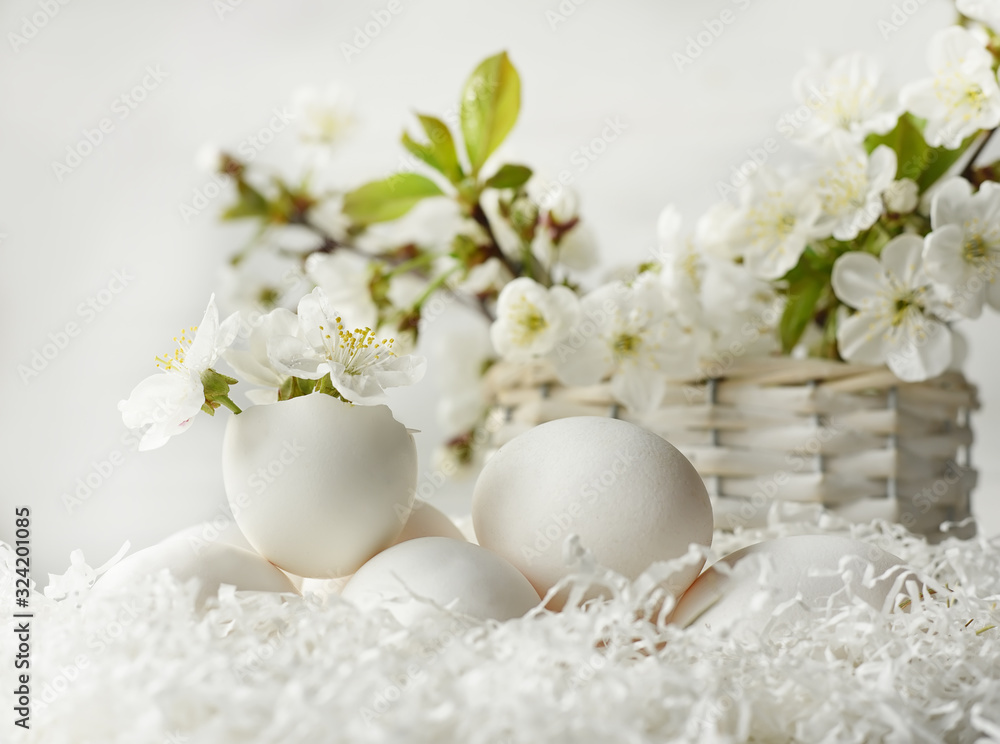 Chicken eggs among the branches with white flowers of blooming cherries and apricot. still life. Suitable for Easter and other ideas.
