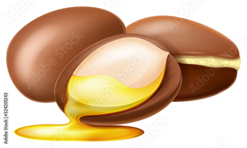 Argan nut with oil drop. Vector illustration.	