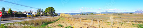 Campos y viñedos en Masquefa, Barcelona, Anoia, Catalunya, Spain, Europe © sanguer