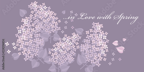 Tender lilac spring flower ...