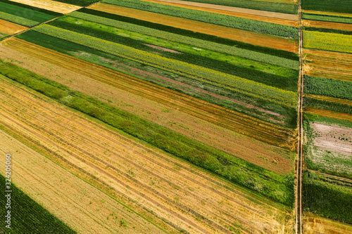 Aerial view of cultivated agricultural fields in summer