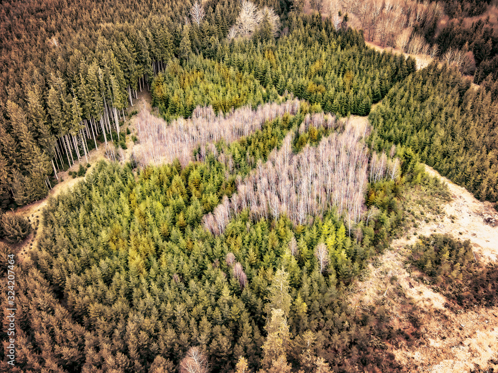 drohnenbild-einheimischer-wald-mit-fichten-und-kahlen-laubb-umen-in