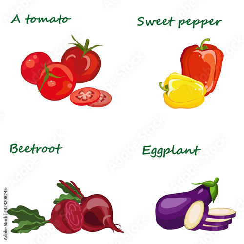 Wallpaper Mural  Fresh vegetables, vegetarianism. Vector illustration. Torontodigital.ca
