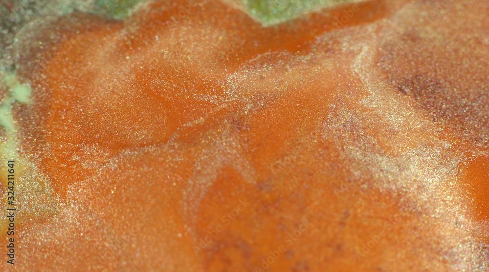 Fototapeta premium Macro liquid acrylic metallic paint orange, coral, lava tone with sparkles. Beautiful chemical reaction