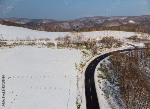 Winter on the slopes of Ashikawa, Hokkaido Japan where th of Ashikawa, Hokkaido Japan where the trees have shed their leaves and there is a layer of snow on the ground  photo