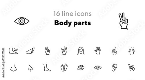 Body parts line icon set. Hand, nose, foot. Body care concept. Can be used for topics like gesturing, healthcare, anatomy