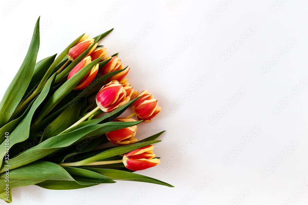bouquet of red yellow tulips on a white background bouquet of red yellow tulips on a white background