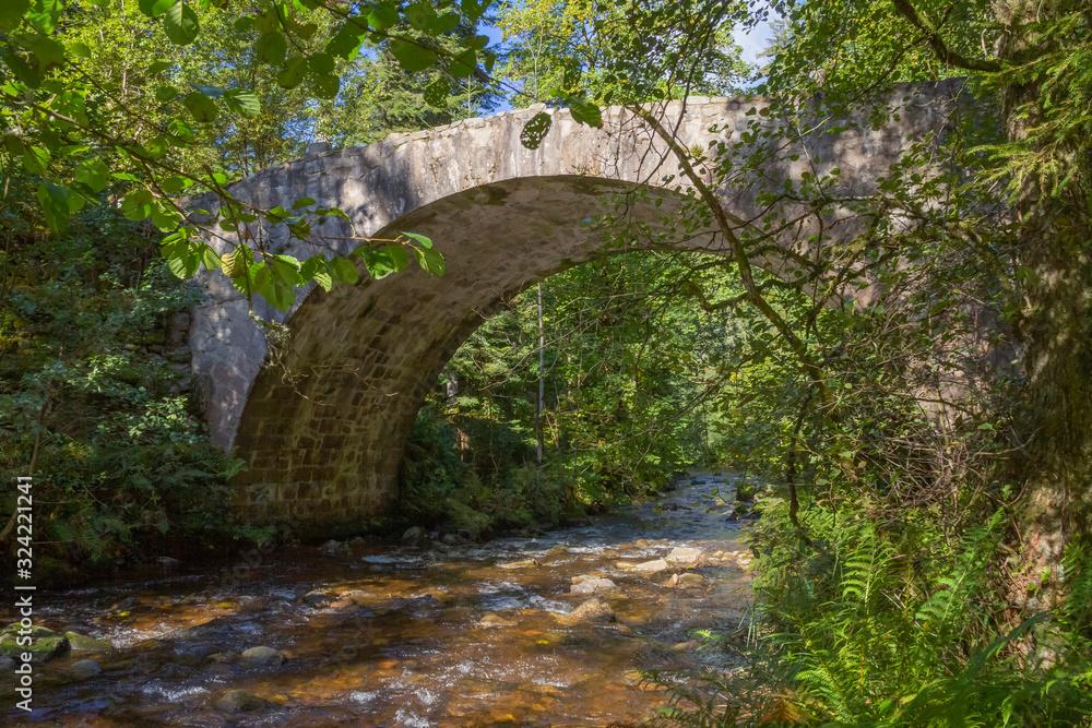 around Vologne river