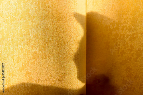 The silhouette of the shadow of the cat's bowed, pensive head with ears lying behind the curtain in the rays of the bright yellow sun in the evening.