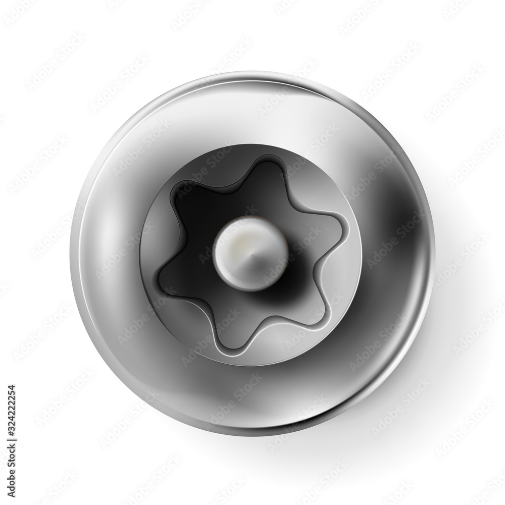 Metal tamper resistant torx screw bolt with a cylindrical head