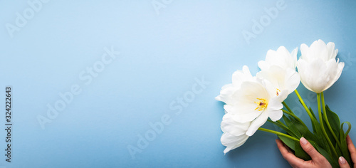 White tulips on blue background top view. Happy spring Holidays. Valentine's day. Birthday. Women's day. Easter. Flower wedding card, invitation, banner © elenabdesign