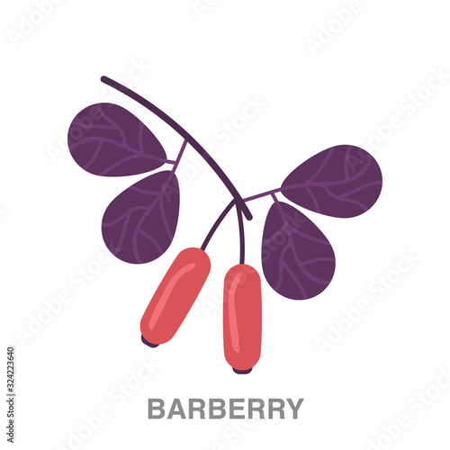 barberry flat icon on white transparent background. You can be used black ant icon for several purposes.  © Elvin