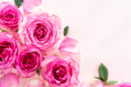 Pink roses © arinahabich