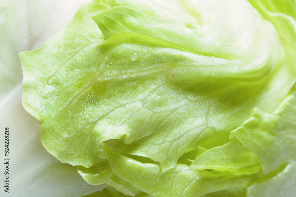 Green salad leaf closeup. Fresh iceberg lettuce. Healthy vegetable, vegetarian food. Selective focus Green salad leaf closeup. Fresh iceberg lettuce. Healthy vegetable, vegetarian food. Selective focus