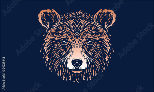 bear on dark background