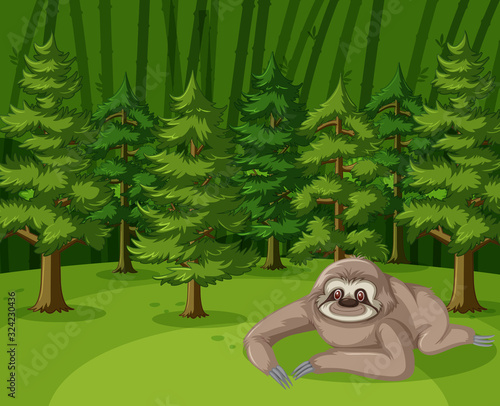 Scene with sloth crawling in the big forest