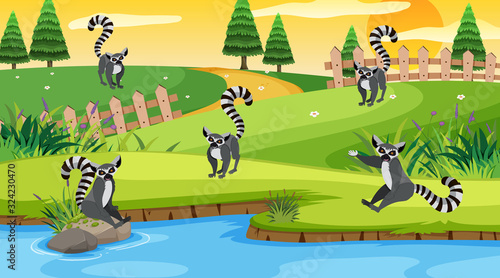Scene with lemurs in the field