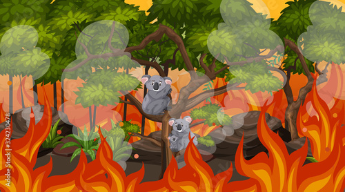 Scene with big wildfire and koalas trapped in the forest