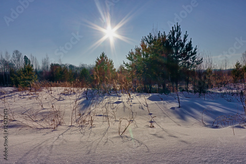 Winter landscape at sunset by a snowy forest lake. Winter forest.