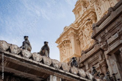 Monkeys on the roof of a Hindu temple in India, Hampi. Asia travel history landmark heritage