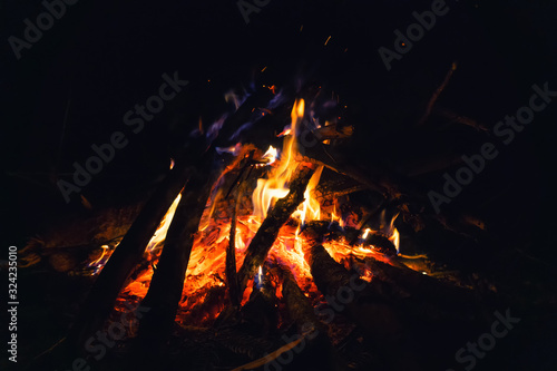 Beautiful fire in the night forest close-up