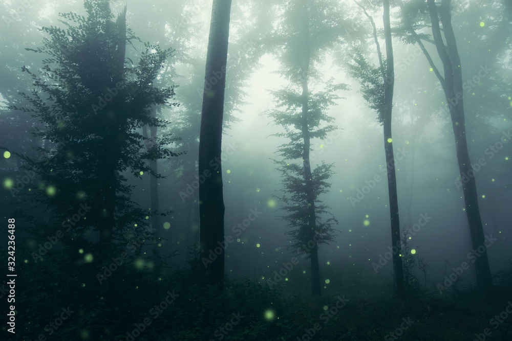 fireflies in fantasy forest at night, magical woods landscape