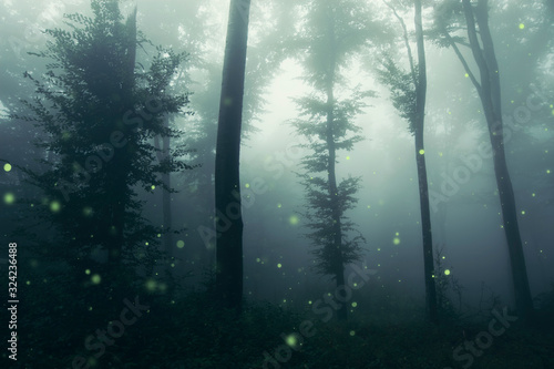 fireflies in fantasy forest at night  magical woods landscape