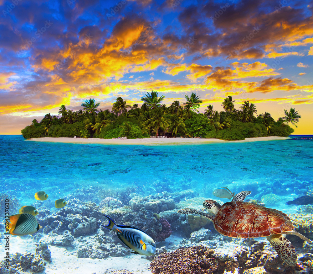 Tropical island of Maldives on the Indian Ocean at sunset with marine life - obrazy, fototapety, plakaty 