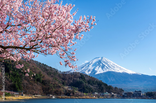 Fuji mountain and cherry blossoms in spring  Japan.