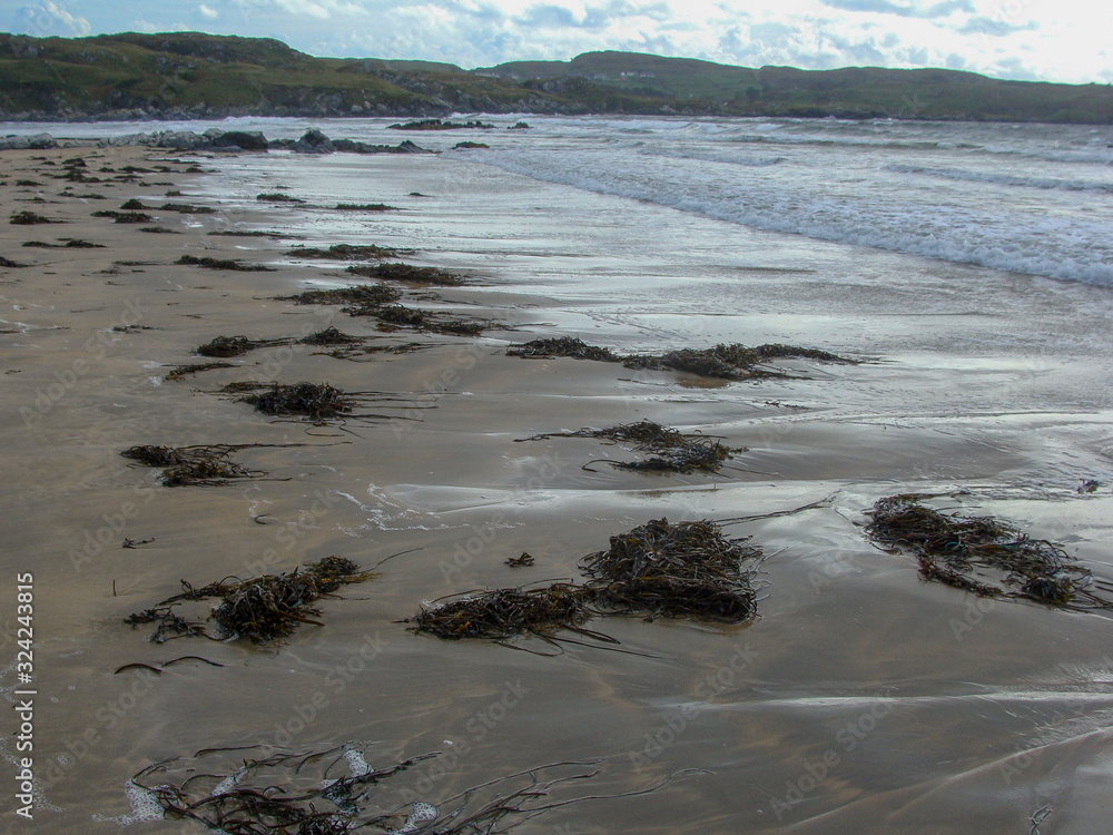 Fototapeta premium landscape with ocean shore in summer