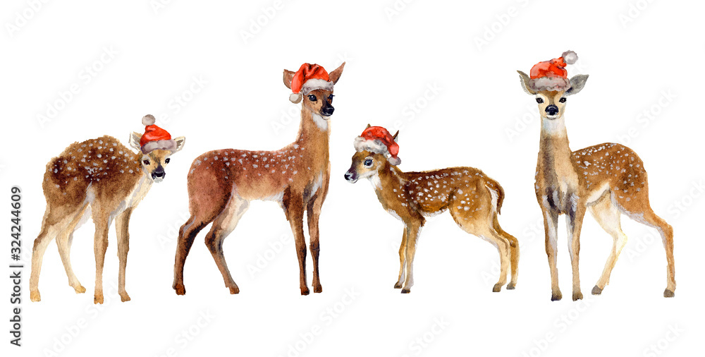 Naklejka premium Cute watercolor deer on the white background. Merry Christmas! Postcard watercolor