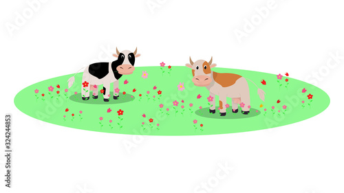 Rural farm with cows in the meadow. Vector cartoon Spring or Summer landscape.
