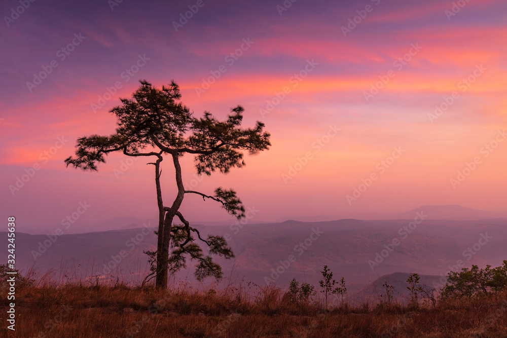 Beautiful sunset on the high mountain in Phu-kra-dueng national park Loei province, Thailand.