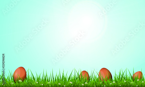 Joyeuses Pâques Oeufs Herbe Ciel