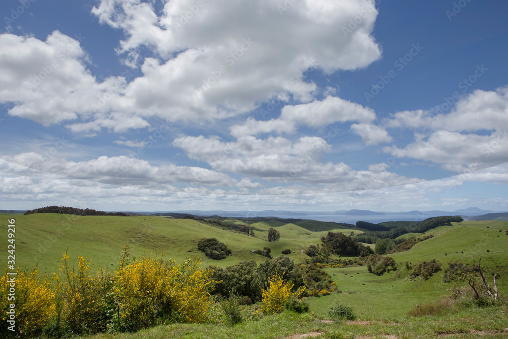 New Zealand. Piriaka lookout