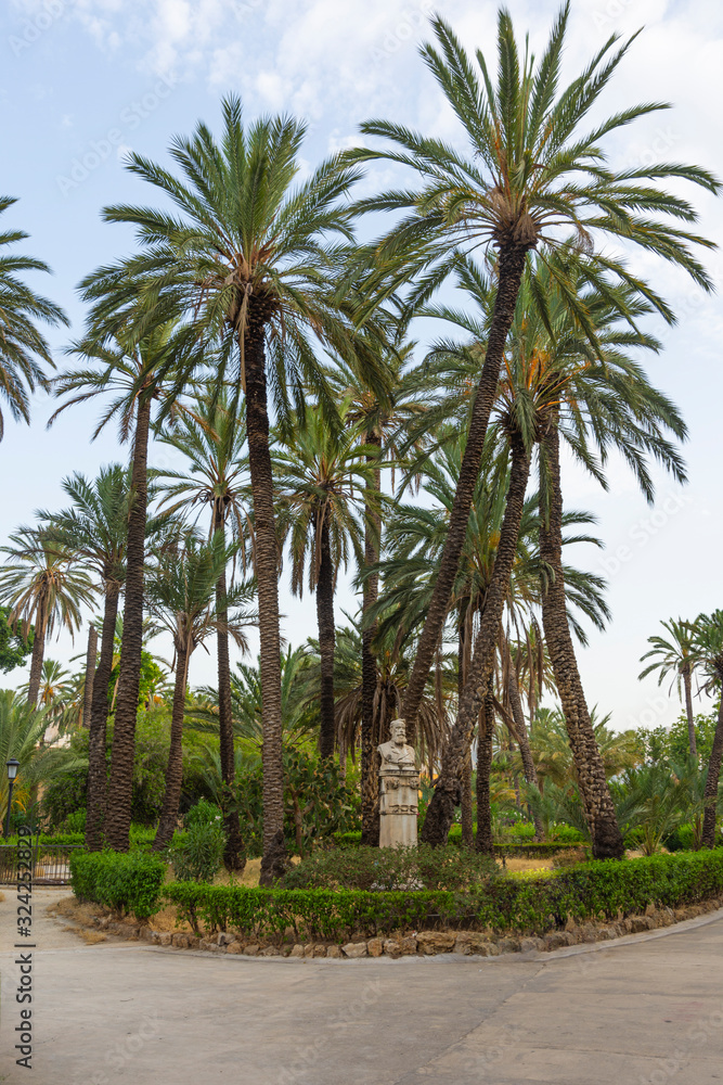 Coconut Palms Tropical Park in Palermo, Sicily - Italy.