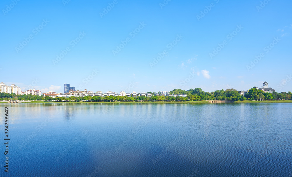 Obraz premium Green park residents in the lake