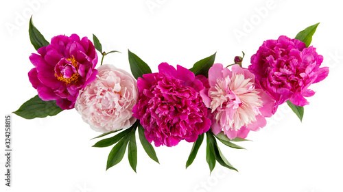 Fototapeta Naklejka Na Ścianę i Meble -  Line composition of arrangement peony flowers isolated on white. Beautiful  garland of  pink peonies.  Close up, top view.