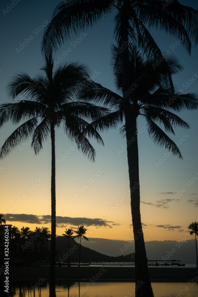 Palm Trees Silhouetted at Sunrise With Lagoon and Diamond Head Beaches in the Background
