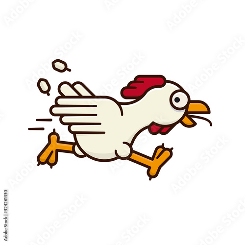 Running chicken isolated vector illustration