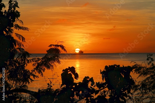 Gloriously brilliant sunset framed by trees and shrubs in a tropical island.