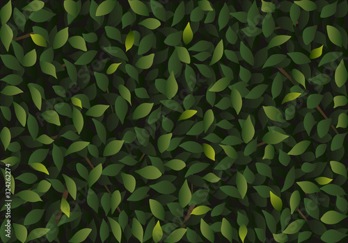 fond de feuillage vert pour illustrer les catalogues de jardinerie en symbolisant le printemps et la protection de l’environnement.