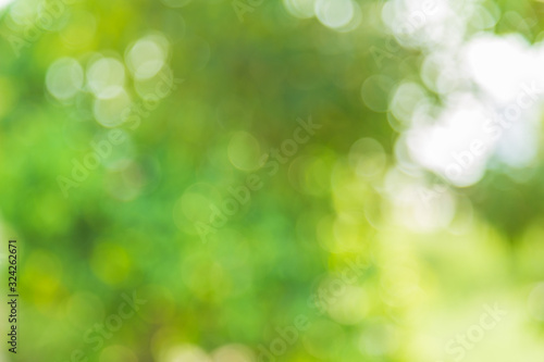 Abstract blurred green bokeh nature for background.