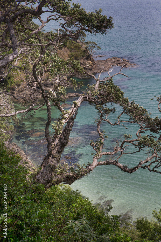 Matapouri Tutukaka New Zealand coast Whale Bay Matapouri Tutukaka New Zealand coast Whale Bay