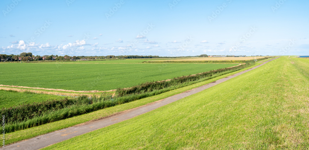 Polder landscape of meadows in Banckspolder on Schiermonnikoog, Netherlands