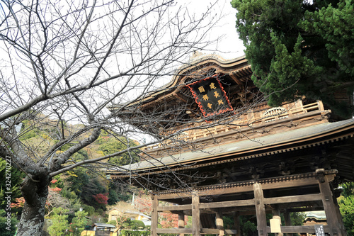 Kenchoji Temple photo