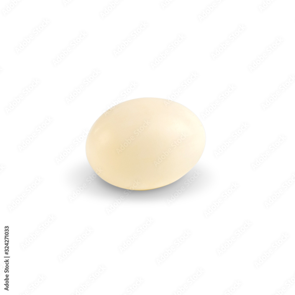 One egg of dove birds in brown dry grass nest isolated on white background. with clipping paths. One egg of dove birds in brown dry grass nest isolated on white background. with clipping paths.