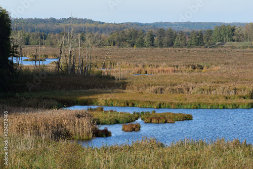 Blick vom Turm Mescherin auf den Staffelder Polder 