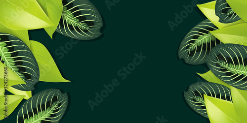 Spring illustration background